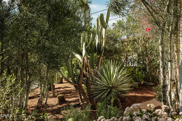 a view of outdoor space and yard