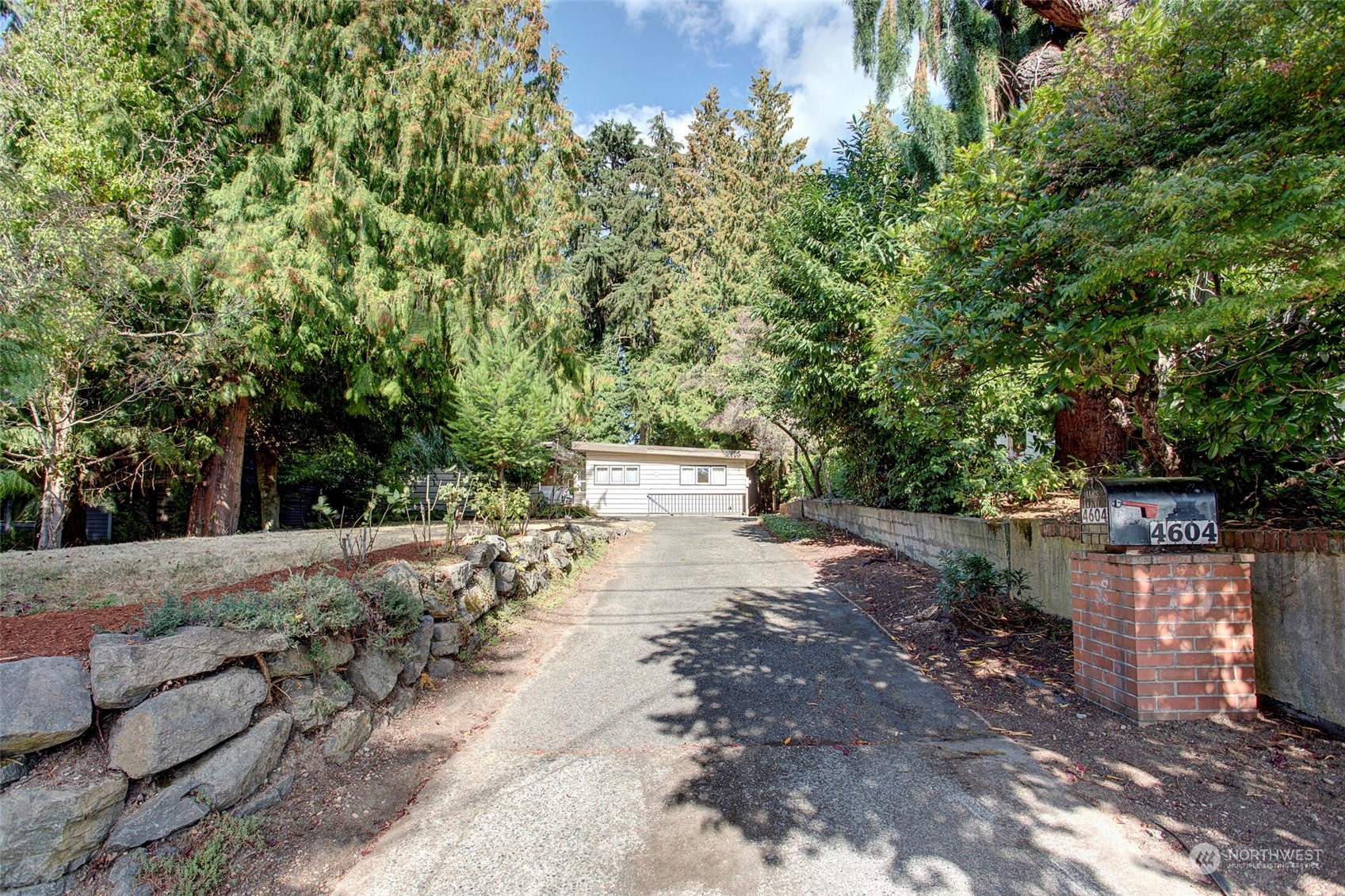 4604 Southwest Wildwood Place Seattle, WA 98136 - Photo 2 of 32 a view of a yard with plants and trees