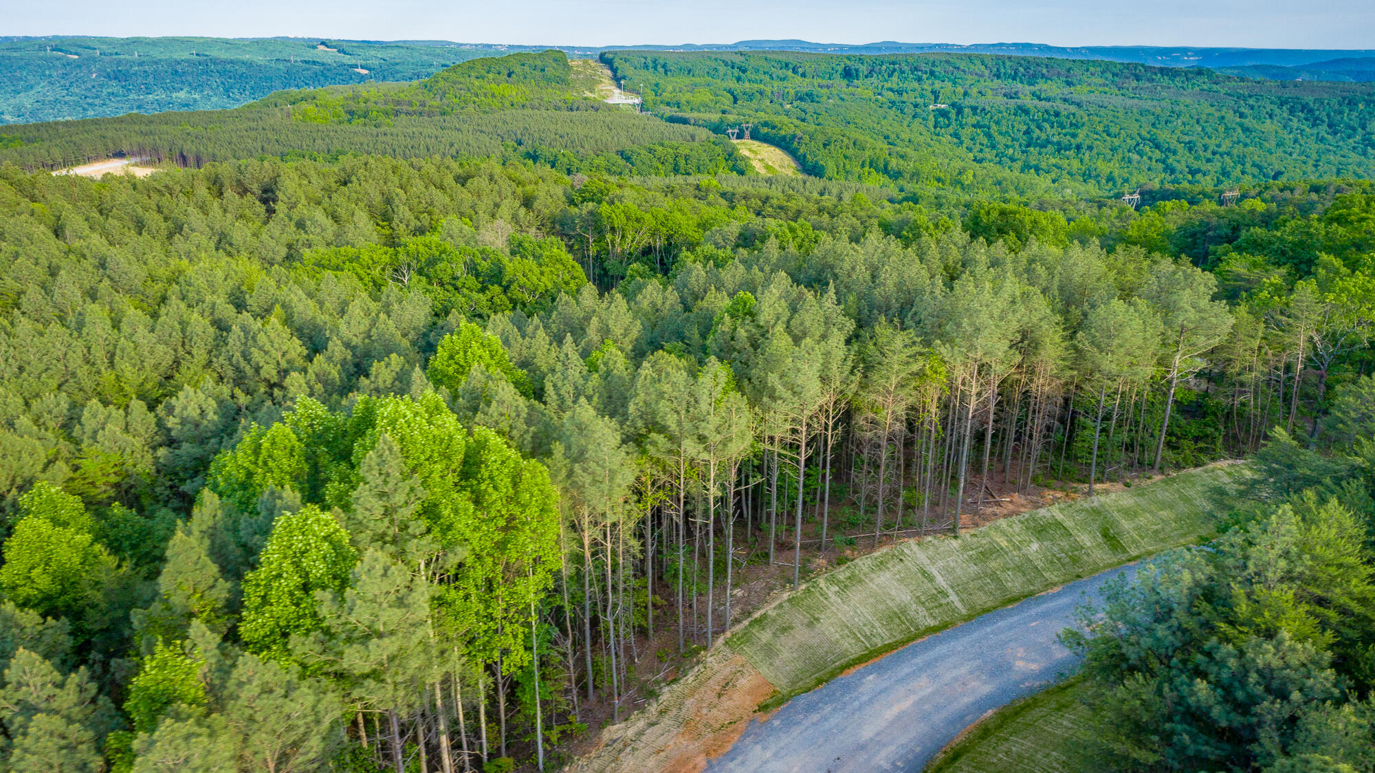 0 Cannon Way, Unit LOT 1317 Guild, TN 37340 - Photo 36 of 99 0 Cannon Way - Lot 1317 HD-20