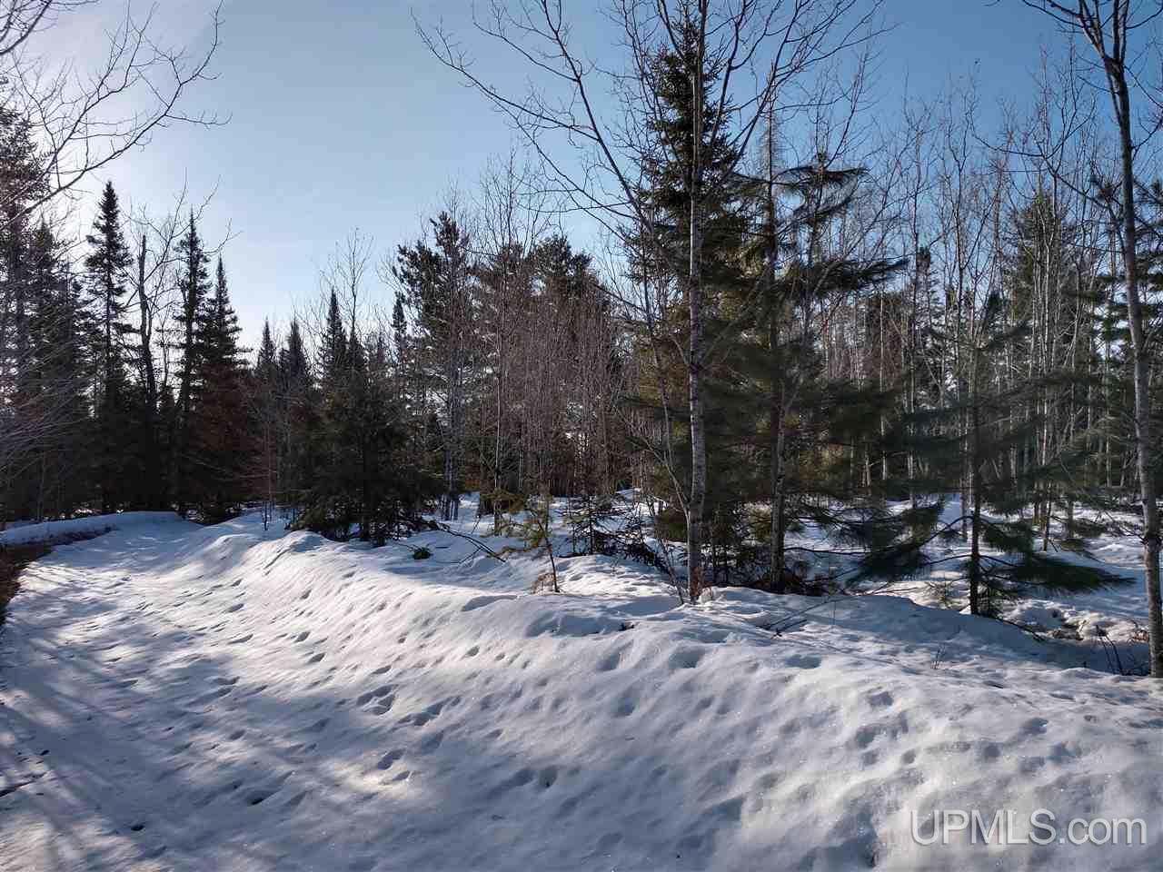 39-acres 39-acres Co Road Ishpeming, MI 49849 - Photo 29 of 39