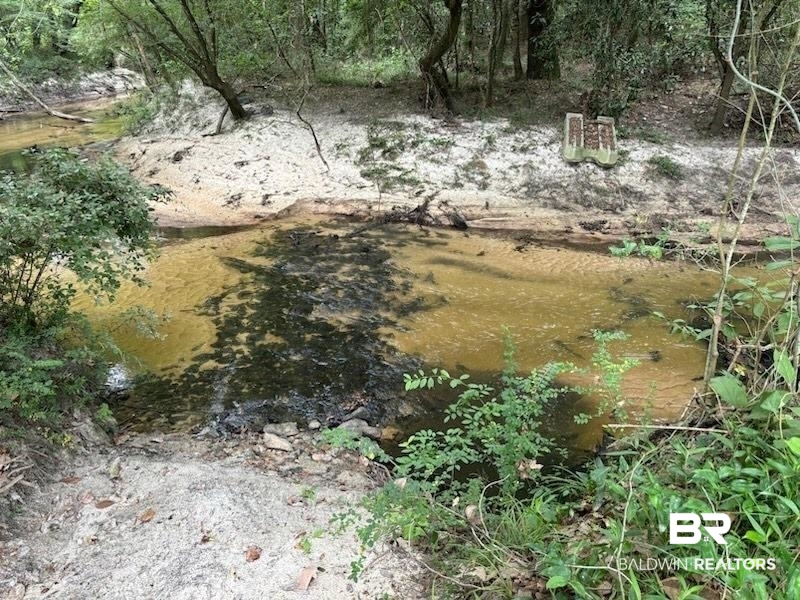 0 Circle R Farm Drive Florala, AL 36442 - Photo 25 of 25