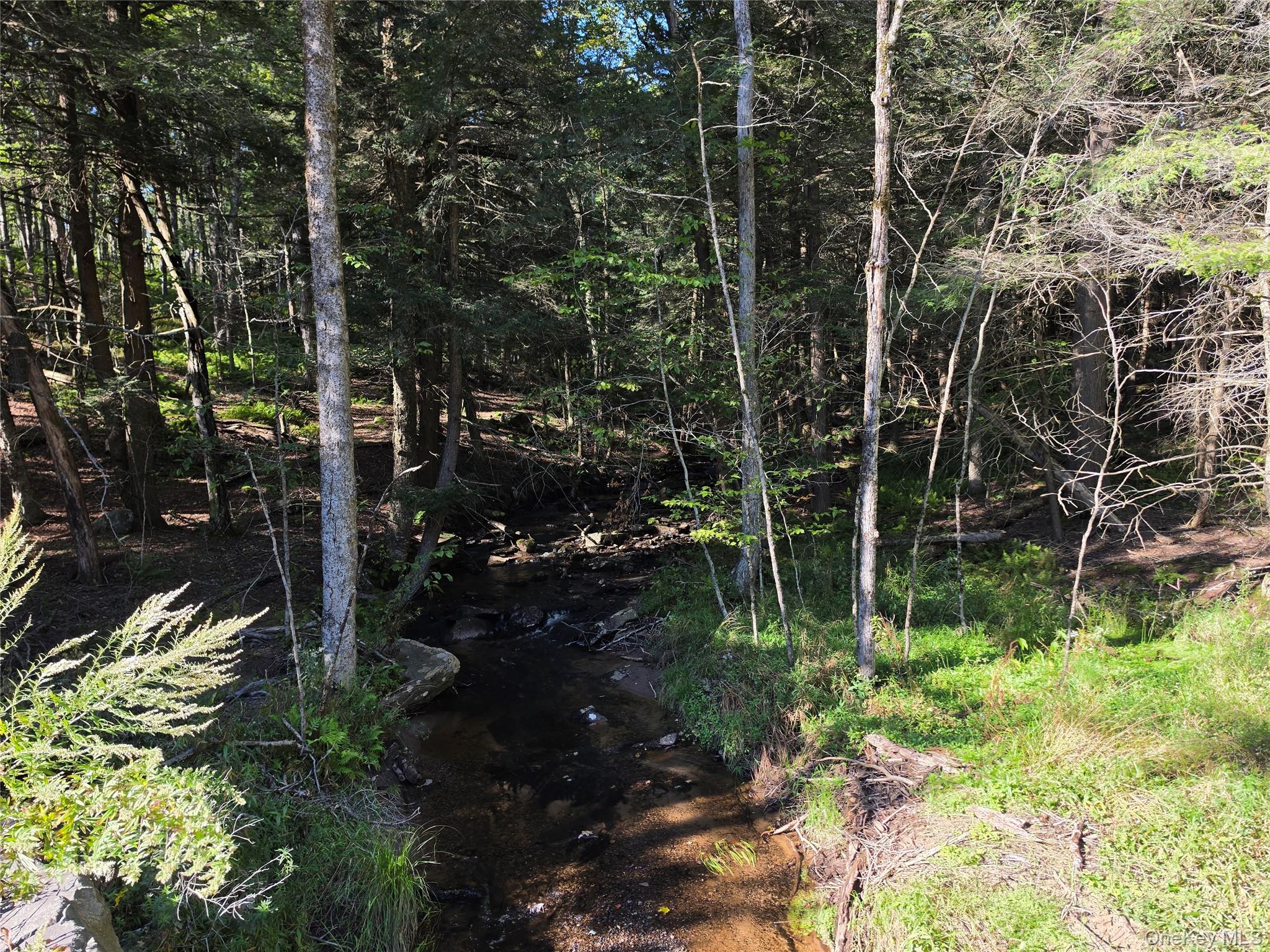 Tbd Lily Pond Road Parksville, NY 12768 - Photo 8 of 31 Gallery Image 8