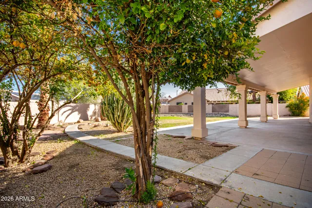 a view of a yard with tree s