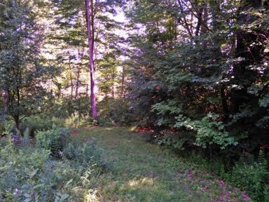 33 Garland Road Nottingham, NH 03290 - Photo 12 of 37