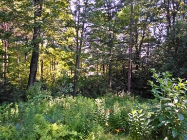 33 Garland Road Nottingham, NH 03290 - Photo 13 of 37