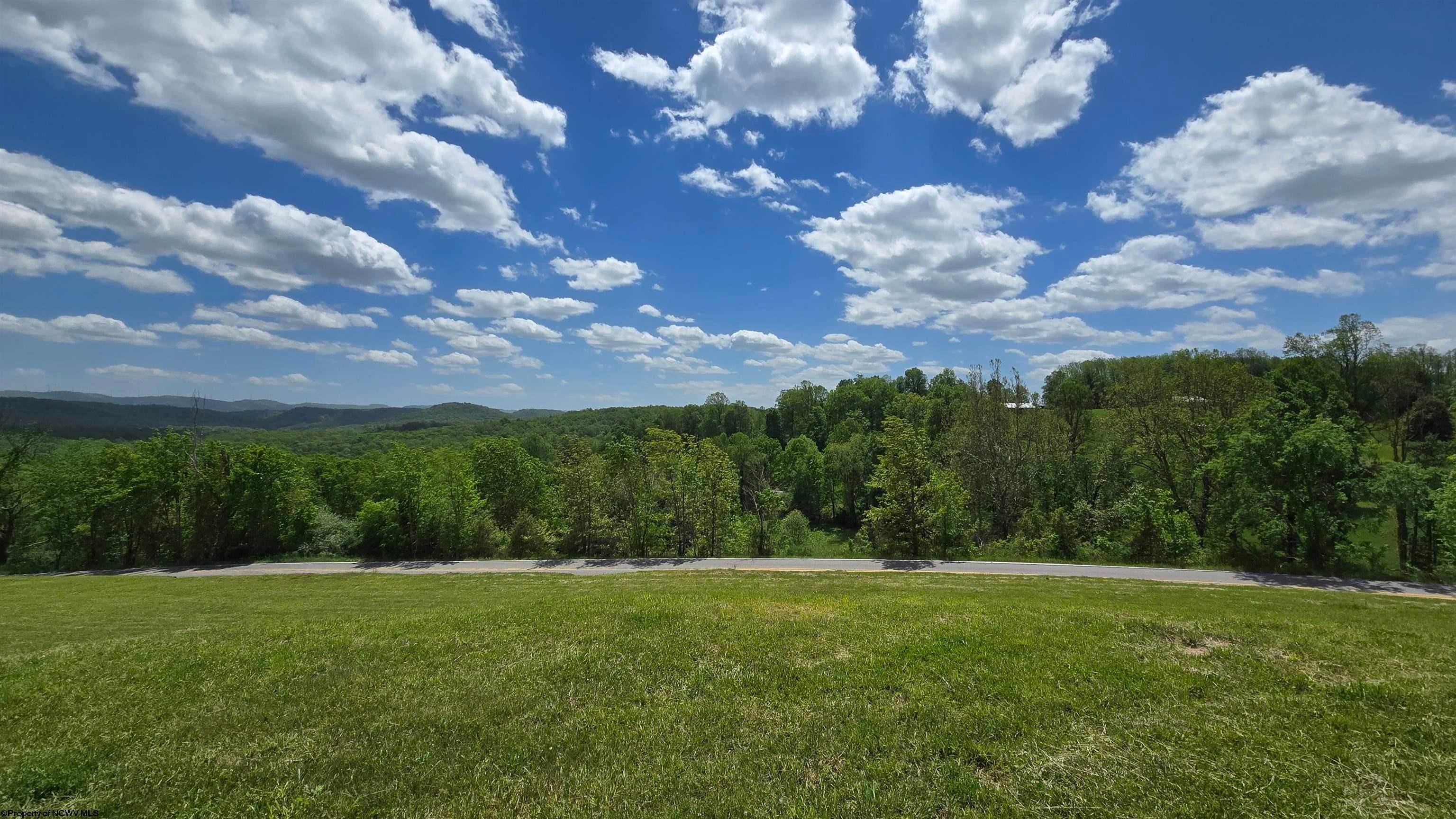 667 Midway Road Belington, WV 26250 - Photo 8 of 23 Gallery Image 8