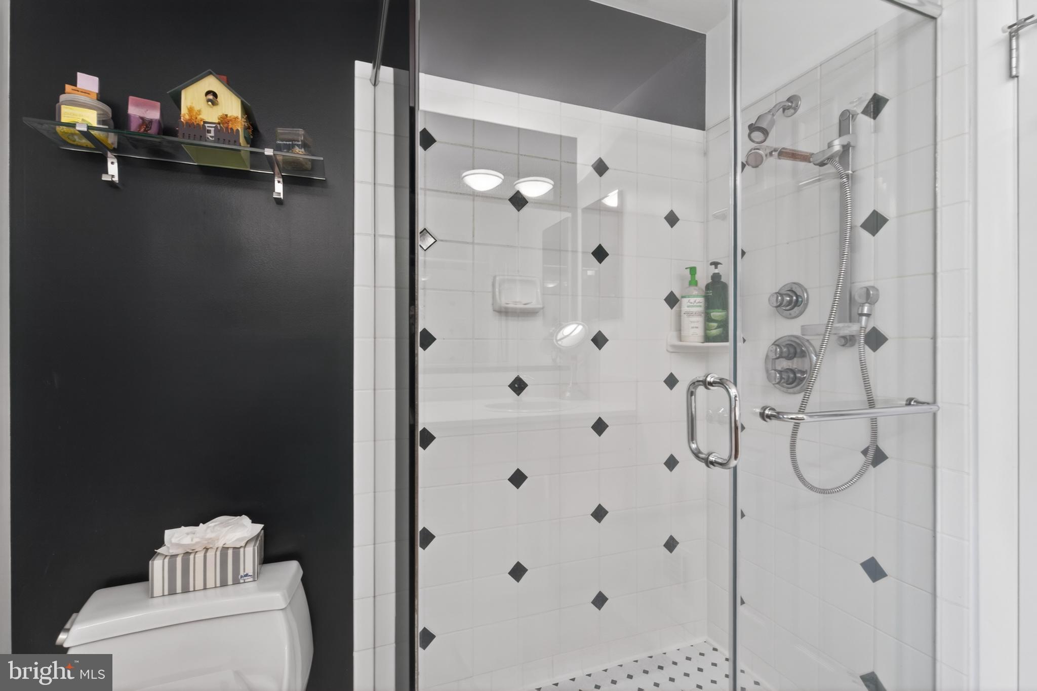 111 Environs Road Sterling, VA 20165 - Photo 26 of 50 Master bathroom