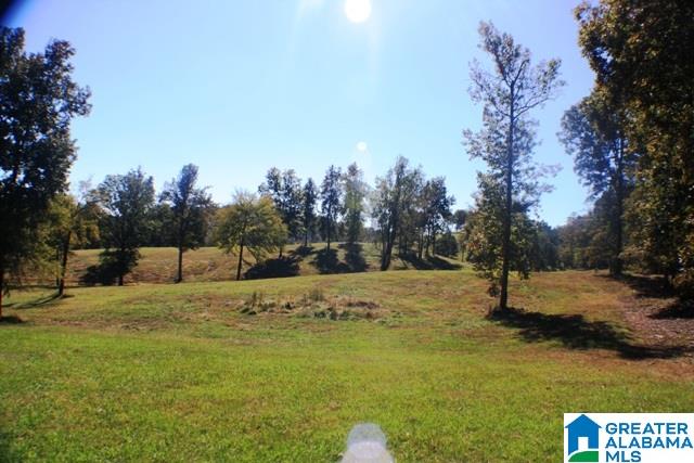 1785 Nunnally Lake Road Ohatchee, AL 36271 - Photo 41 of 50