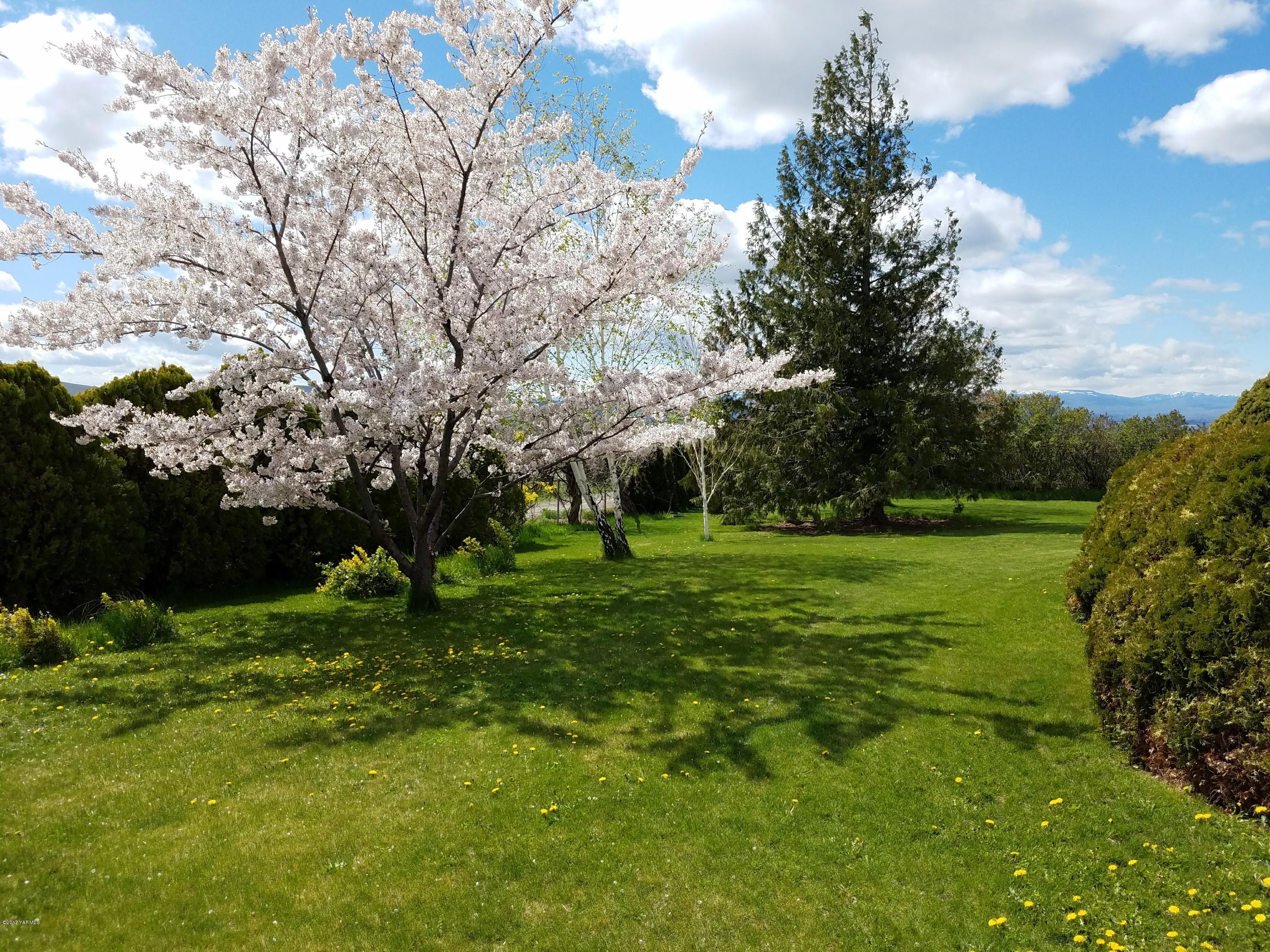 255 Prairie Road Moxee, WA 98936 - Photo 22 of 25 a view of a trees in a yard