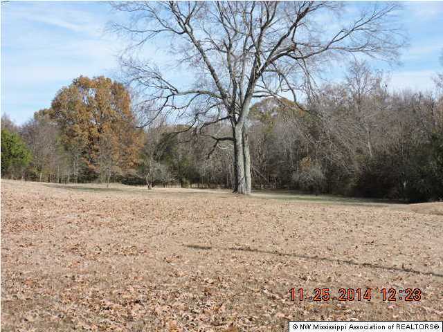 1310 Williams Road Byhalia, MS 38611 - Photo 21 of 27 Additional Photo
