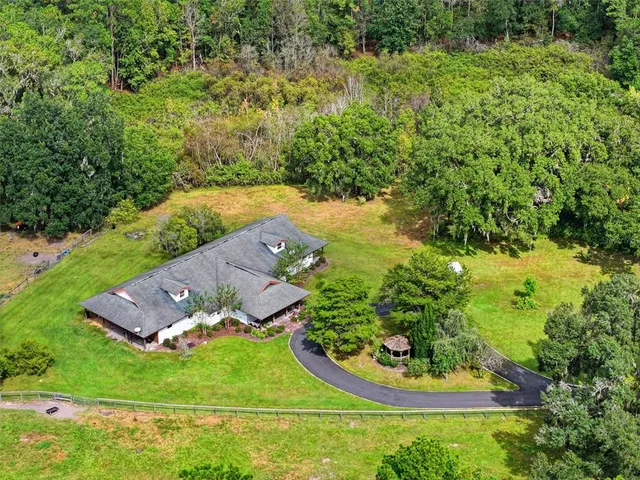 a view of park with large trees