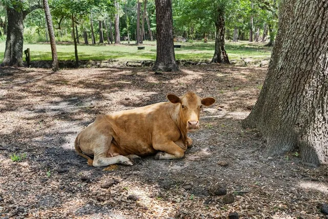 $1,600,000 | 1325 Culbreath Road, Brooksville, FL 34602