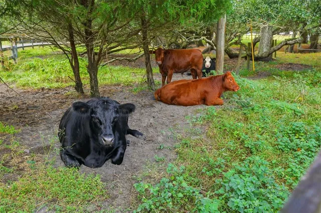 $1,600,000 | 1325 Culbreath Road, Brooksville, FL 34602