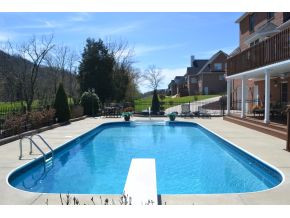 1046 Deer Harbour Road Bristol, TN 37620 - Photo 6 of 24 Heated Pool