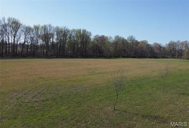 $37,500 | 1 Crites Lane, Dexter, MO 63841