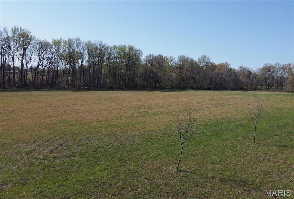 1 Crites Lane Dexter, MO 63841 - Photo 2 of 3