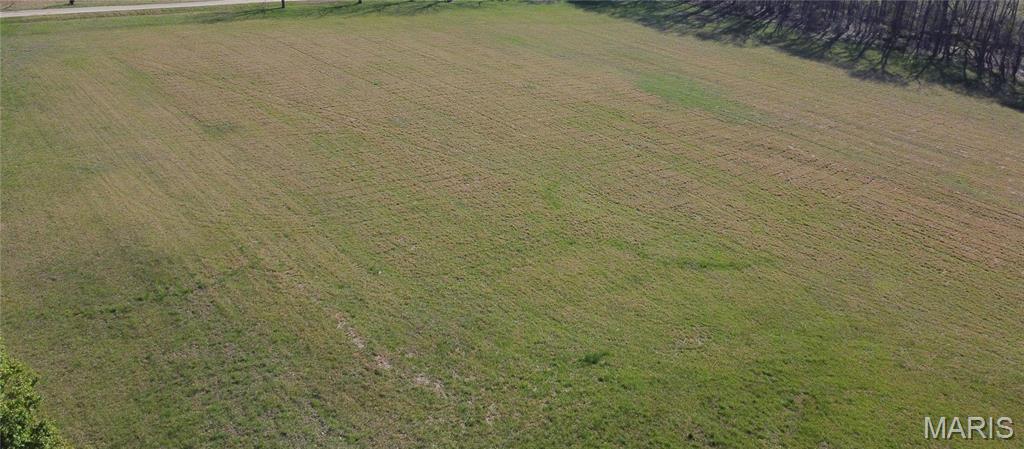 1 Crites Lane Dexter, MO 63841 - Photo 3 of 3