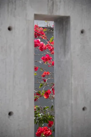 an aerial view of a city with lots of residential buildings ocean and ocean view