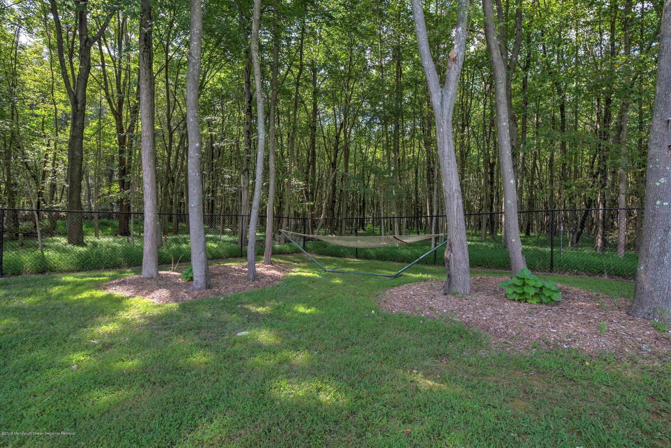 645 Eltone Road Jackson, NJ 08527 - Photo 43 of 44 43-BACK YARD