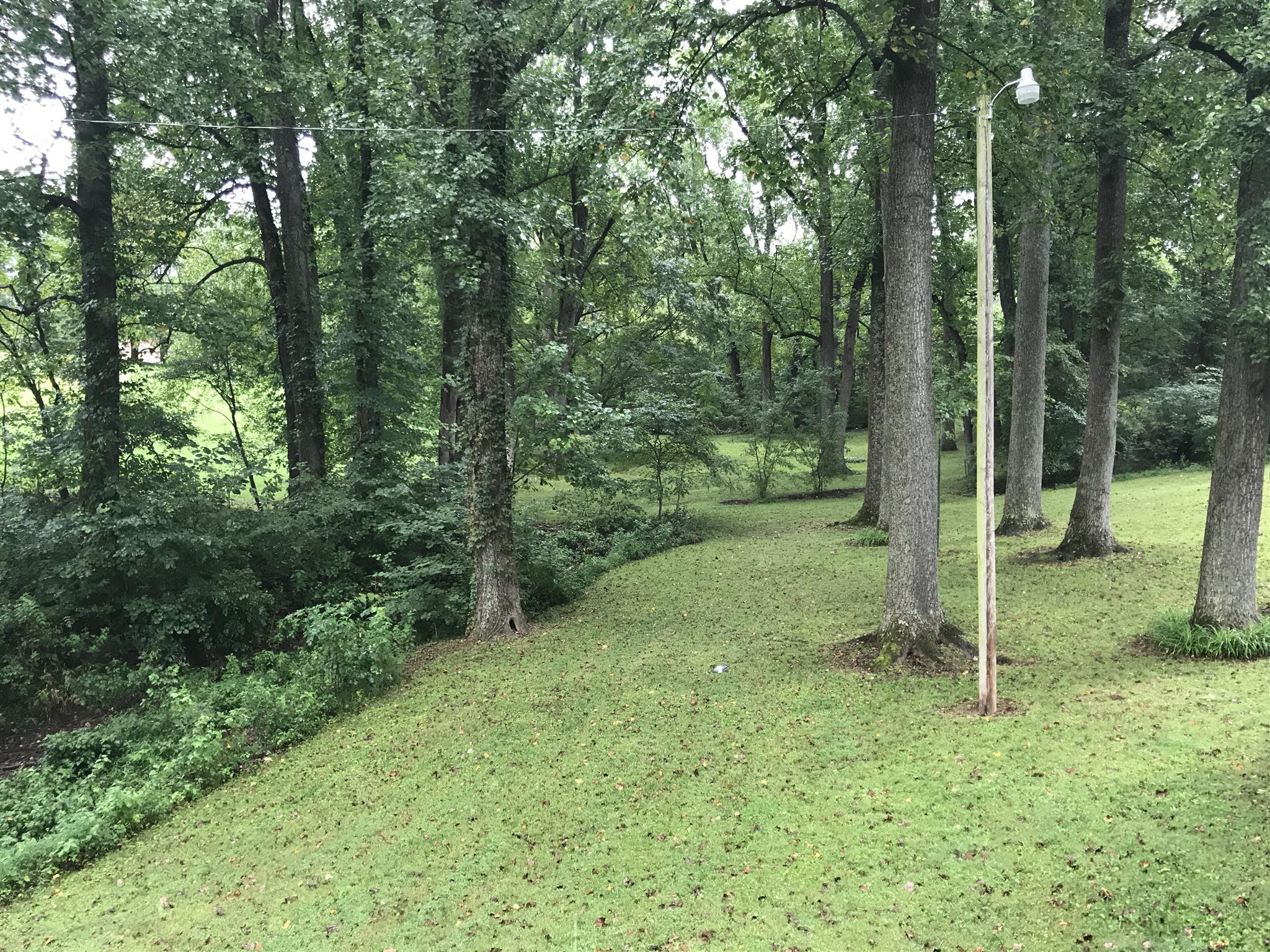 8174 New Chapel Road Springfield, TN 37172 - Photo 8 of 14 a view of a forest