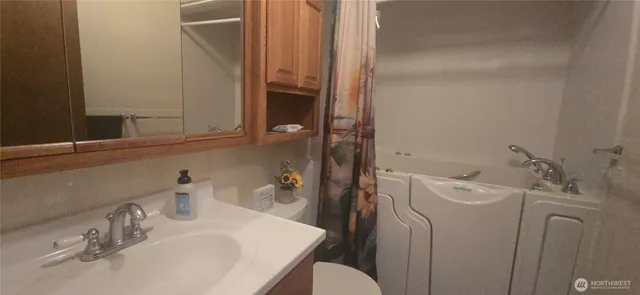 a bathroom with a sink and a toilet