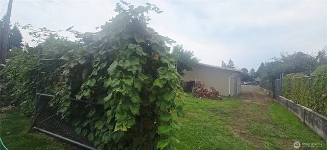 a ground with lots of trees