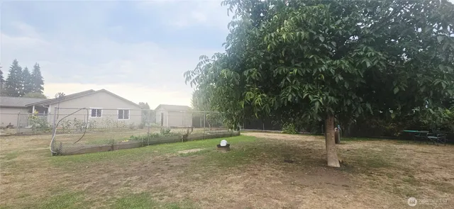 a view of a backyard