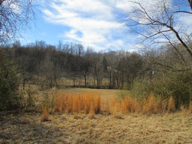 1328 Wray Branch Road Minor Hill, TN 38473 - Photo 1 of 14 View From the Front of the Old Home Site. This is What You Could See Out Your Front Door