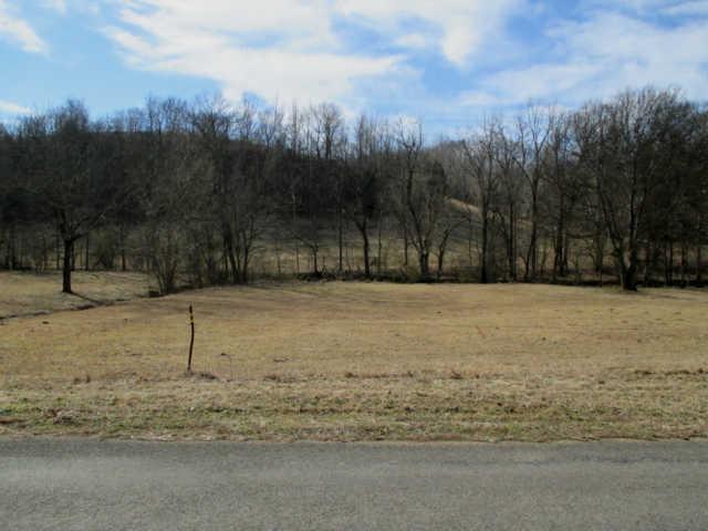 1328 Wray Branch Road Minor Hill, TN 38473 - Photo 3 of 14 View from this House Site Looking Across Wray Branch Road