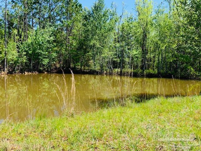 Tbd Allentown Road Milton, FL 32570 - Photo 1 of 20 Gallery Image 1