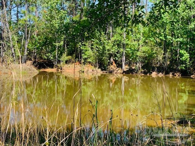 Tbd Allentown Road Milton, FL 32570 - Photo 12 of 20 Gallery Image 12