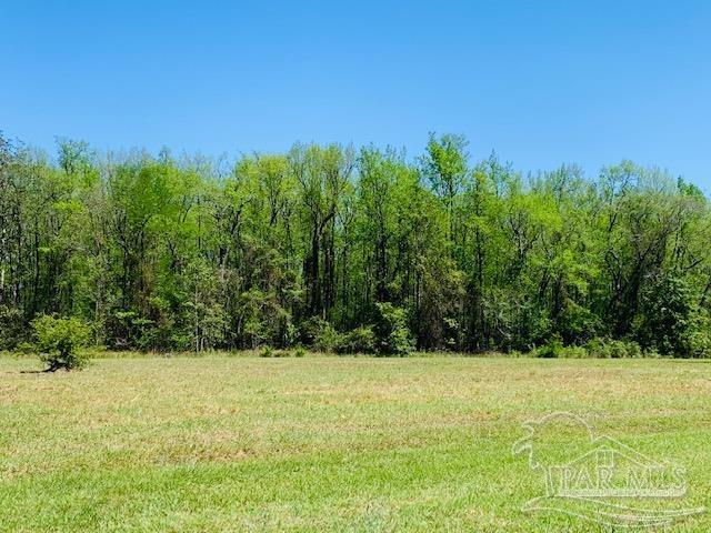 Tbd Allentown Road Milton, FL 32570 - Photo 4 of 20 Gallery Image 4