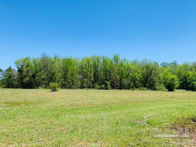 Tbd Allentown Road Milton, FL 32570 - Photo 5 of 20 Gallery Image 5