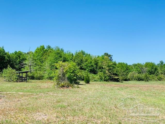 Tbd Allentown Road Milton, FL 32570 - Photo 8 of 20 Gallery Image 8