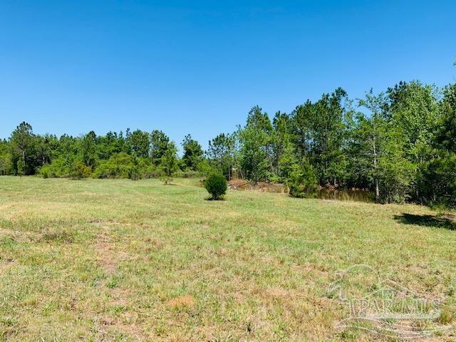Tbd Allentown Road Milton, FL 32570 - Photo 10 of 20 Gallery Image 10