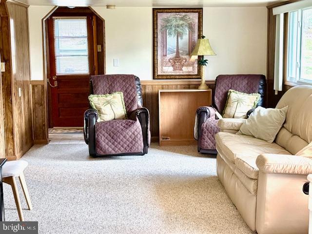 222 Skippers Point Road Oakland, MD 21550 - Photo 20 of 66