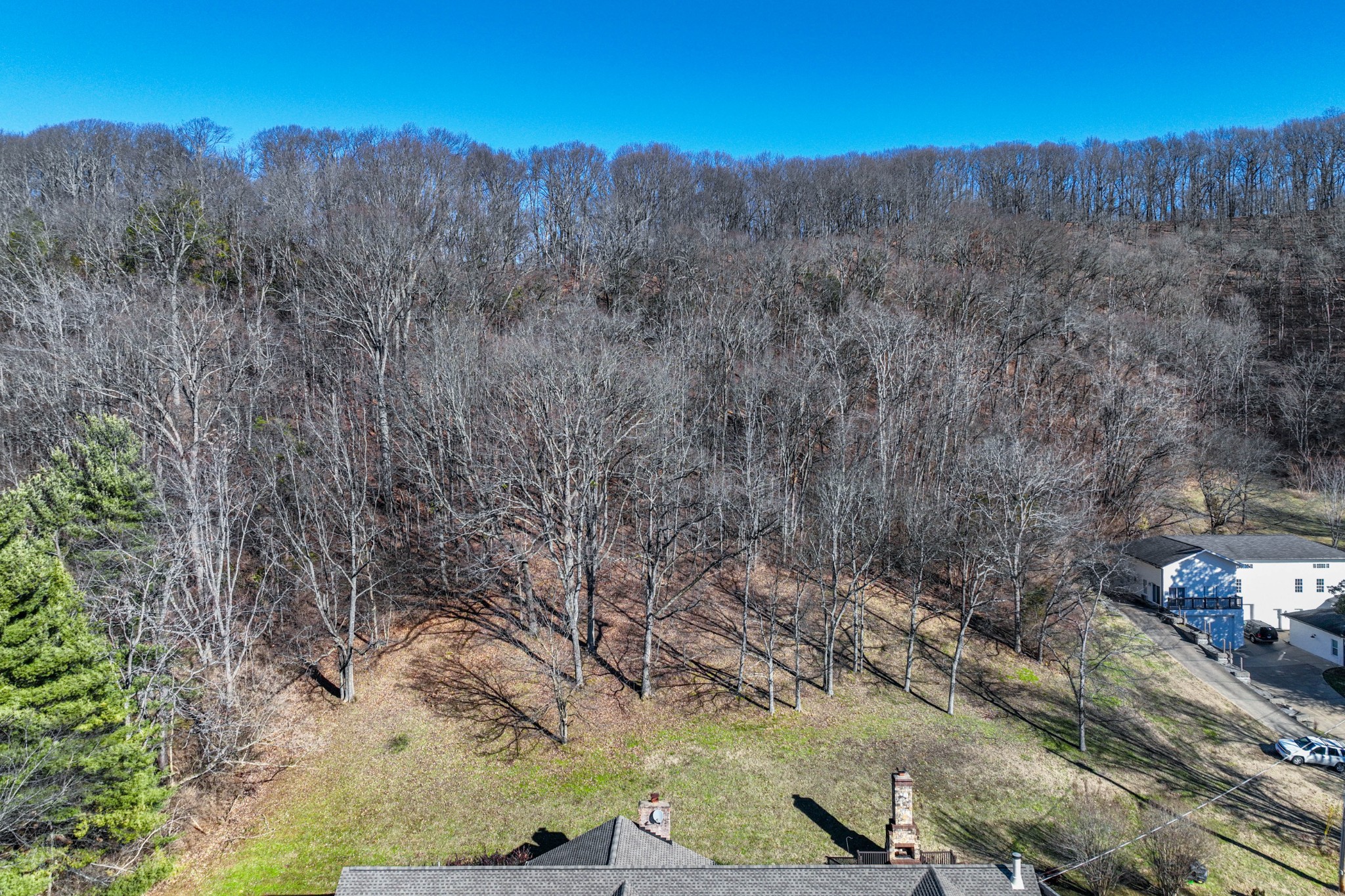 1002 Holly Tree Gap Road Brentwood, TN 37027 - Photo 26 of 27 a view of forest