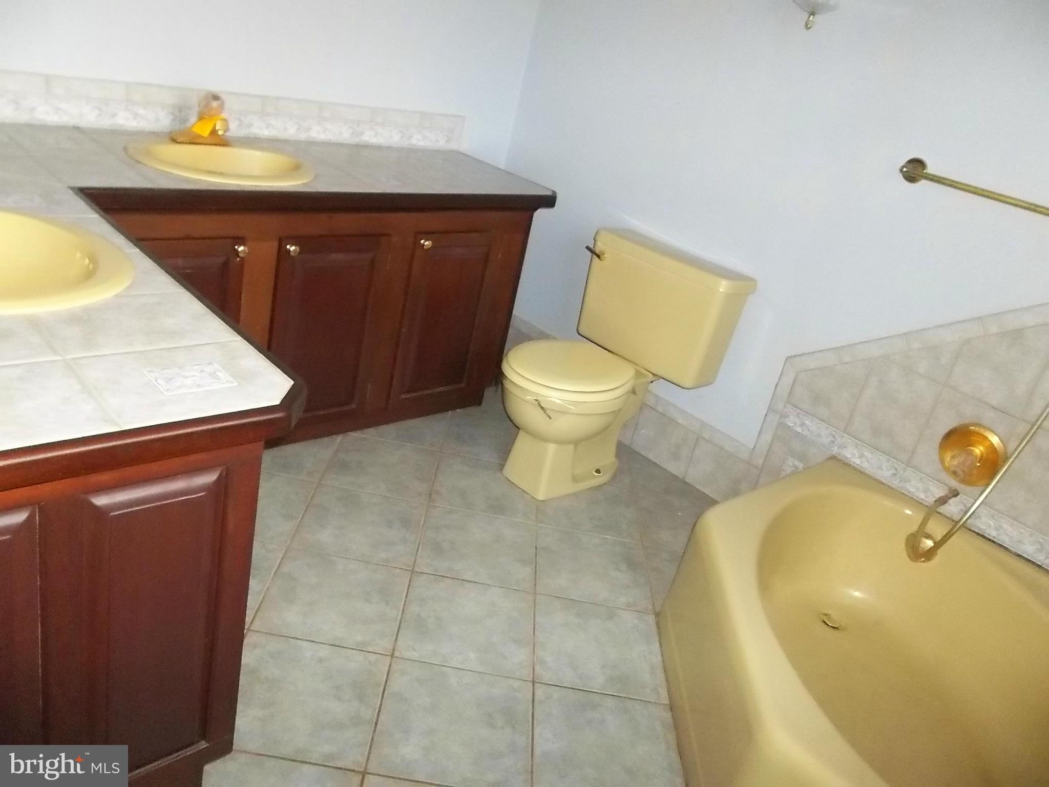 399 Blair Shore Road Elkton, MD 21921 - Photo 19 of 23 Bath (Master)