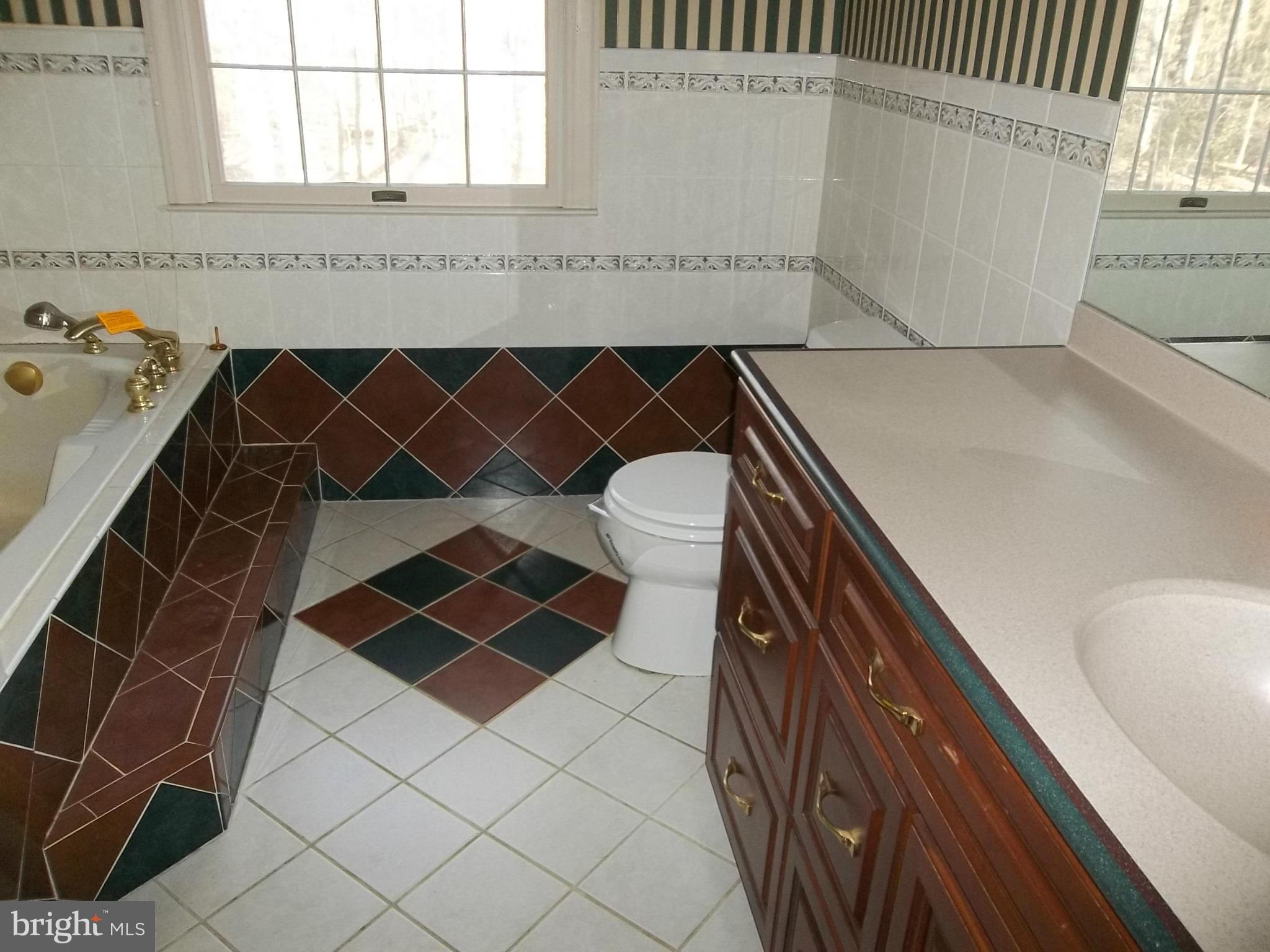 399 Blair Shore Road Elkton, MD 21921 - Photo 20 of 23 Bath