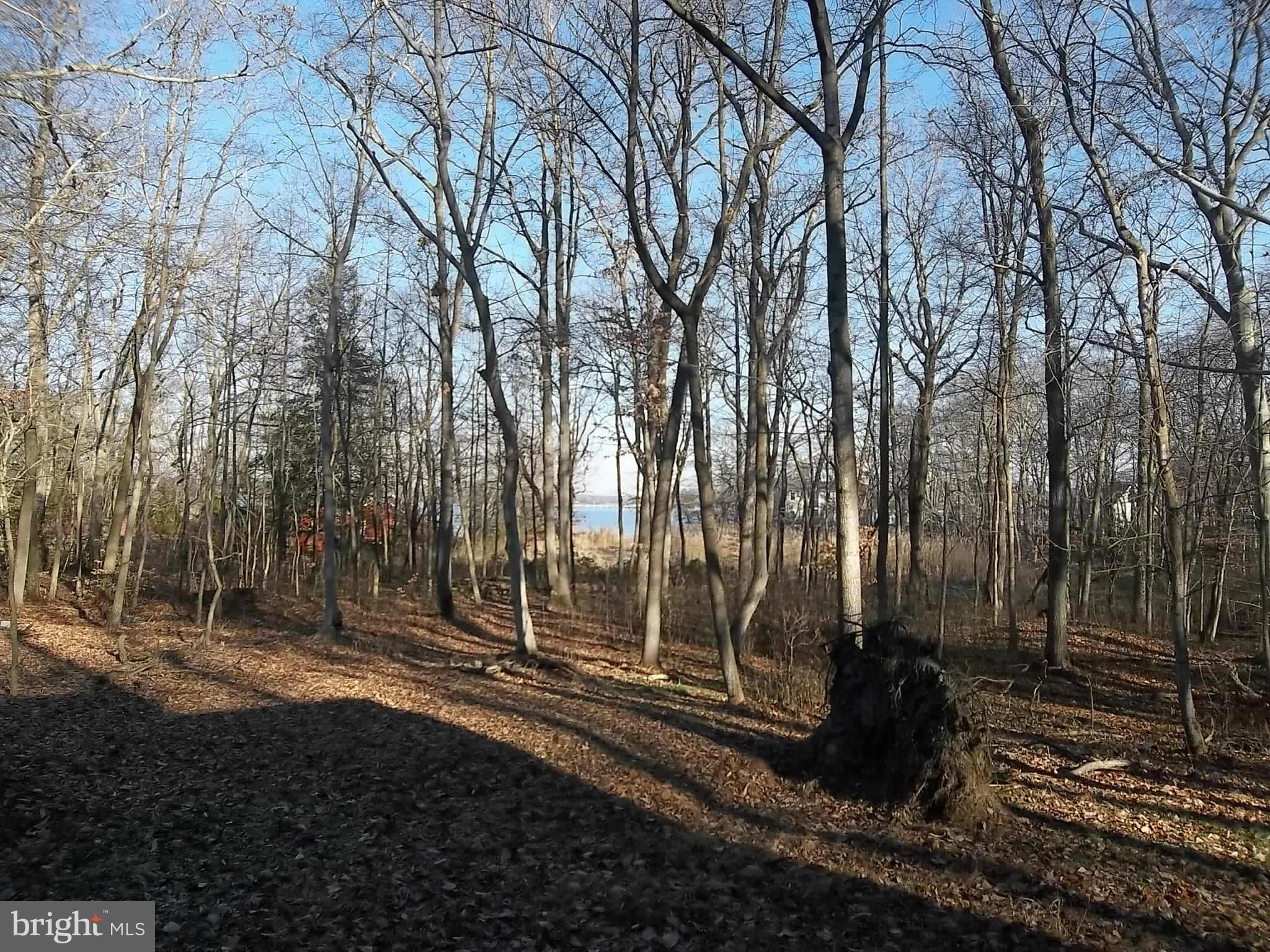 399 Blair Shore Road Elkton, MD 21921 - Photo 8 of 23 View