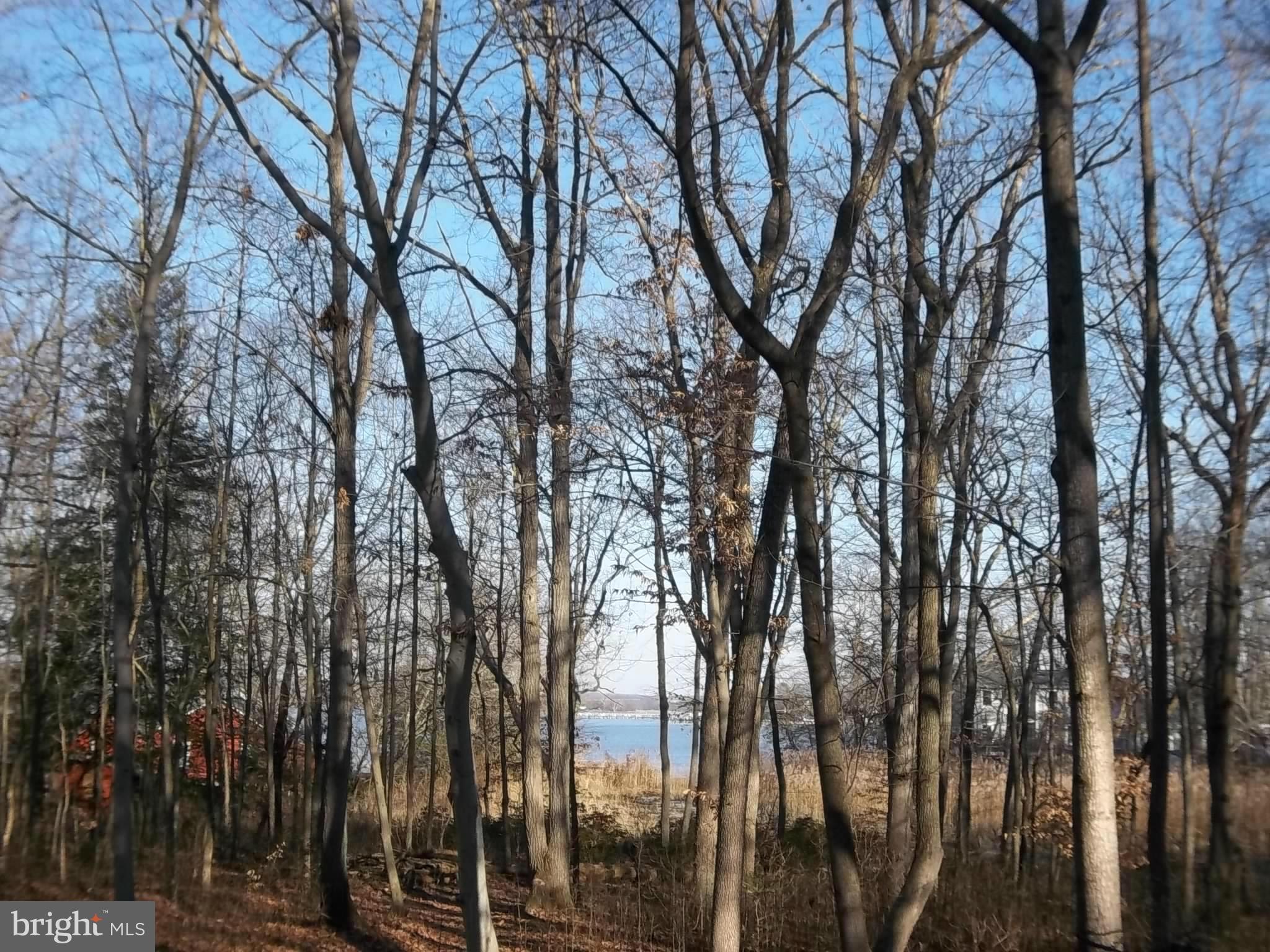 399 Blair Shore Road Elkton, MD 21921 - Photo 9 of 23 View