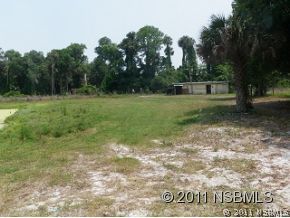 1555 Cow Creek Road Edgewater, FL 32132 - Photo 3 of 10 Gallery Image 3