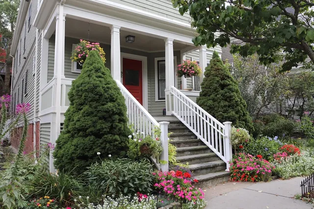 a view of a potted flower in front of a house