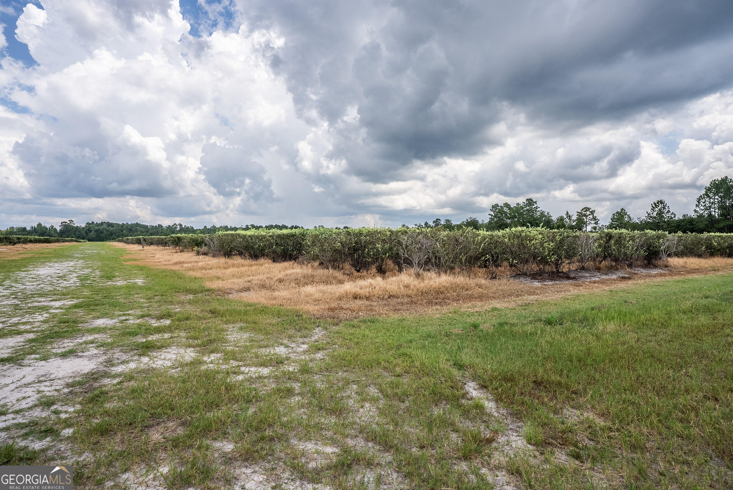 930 Old Surrency Road Baxley, GA 31513 - Photo 7 of 51 Gallery Image 7