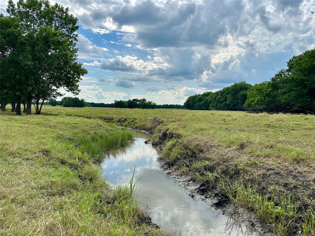 2396 County Road 2145 Cooper, TX 75432 - Photo 40 of 40 a view of a lake with a yard