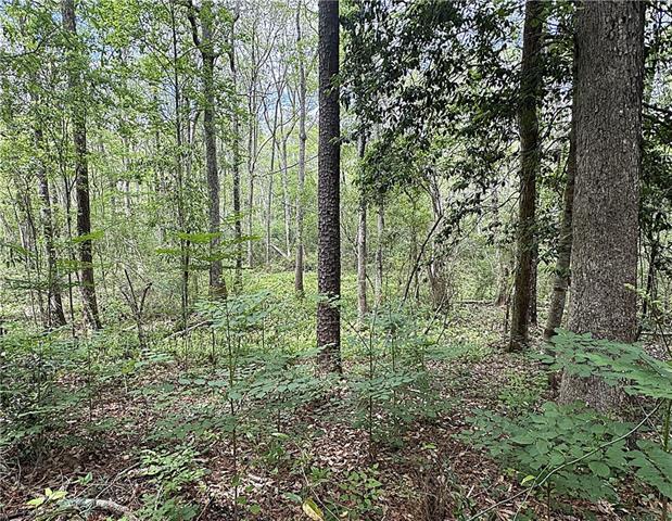 83353 Beason Road Folsom, LA 70437 - Photo 13 of 16