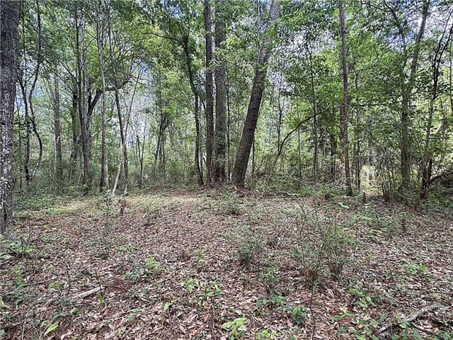 83353 Beason Road Folsom, LA 70437 - Photo 14 of 16