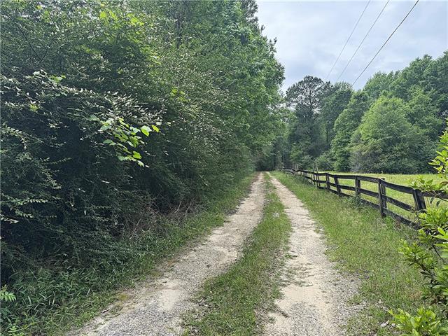 83353 Beason Road Folsom, LA 70437 - Photo 15 of 16