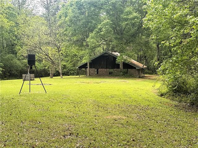 83353 Beason Road Folsom, LA 70437 - Photo 10 of 16