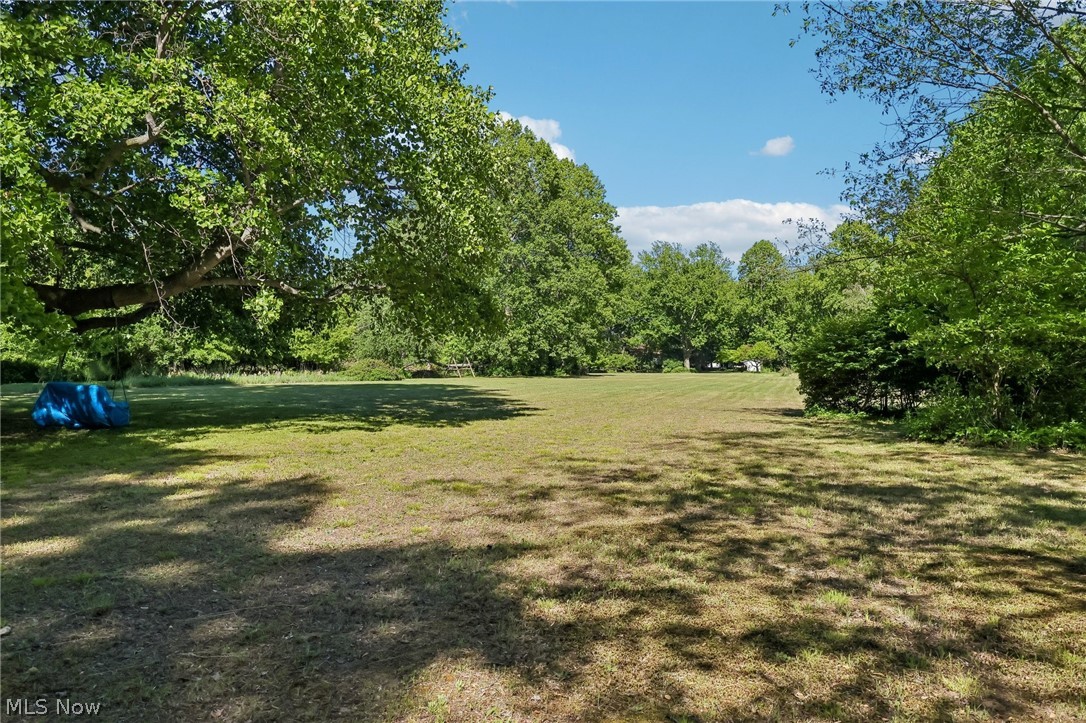2428 Antioch Road Perry, OH 44081 - Photo 6 of 46 Expansive grassy area bordered by mature trees and natural foliage